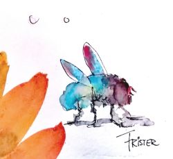 Andreafrister Aquarelle 2019